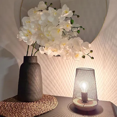 Casinha Da Ria Ii Apartament *